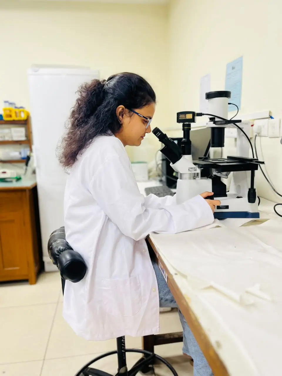 Lab
